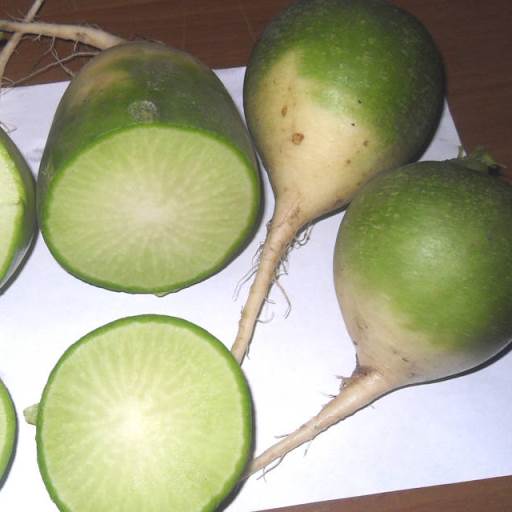 Редька Маргеланская, 5г семян