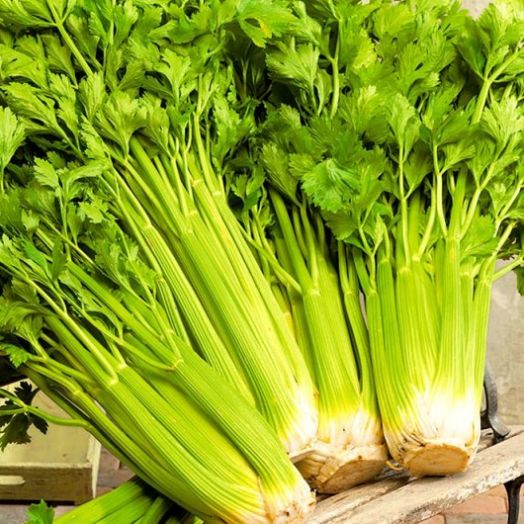 Сельдерей черешковый Паскаль, 5г семян