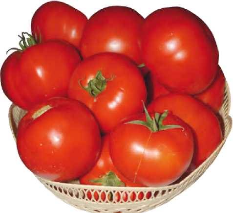 Томат детерминантный ТМАГ-666 F1, 50шт семян