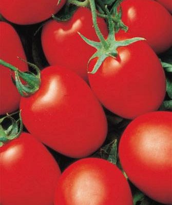 Томат детерминантный ЯКИ F1, 500 семян