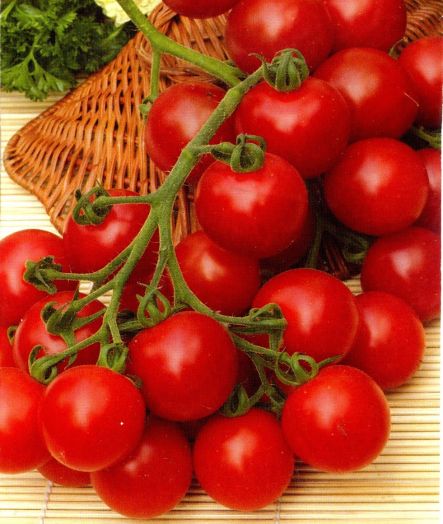 Томат детерминантный Черри Блосэм F1, 50шт семян