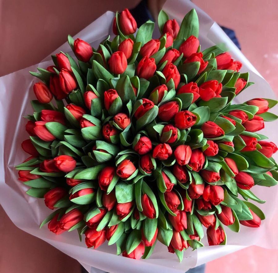 101 красный тюльпан в оформлении