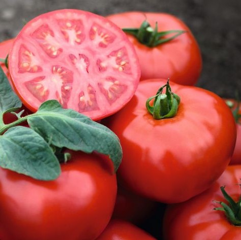 Томат детерминантный Тонопа F1, 50шт семян