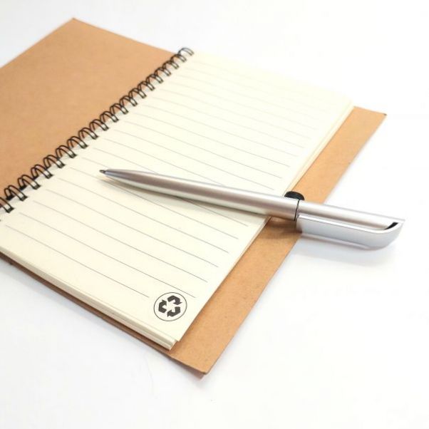 Шариковая ручка Каролина серебристая