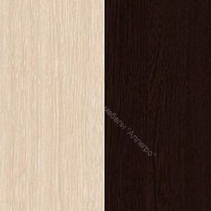 Шкаф-купе Альянс 1000 мм