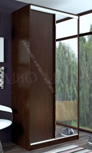 Шкаф-купе Альянс 1000 мм