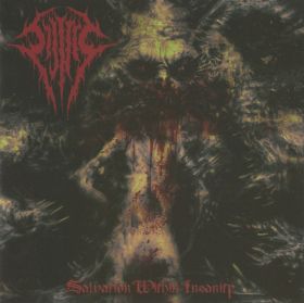 SIJJEEL - Salvation Within Insanity