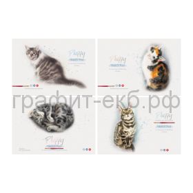 Альбом А4 24л.BG Акварельные котики АР4ск24 10913