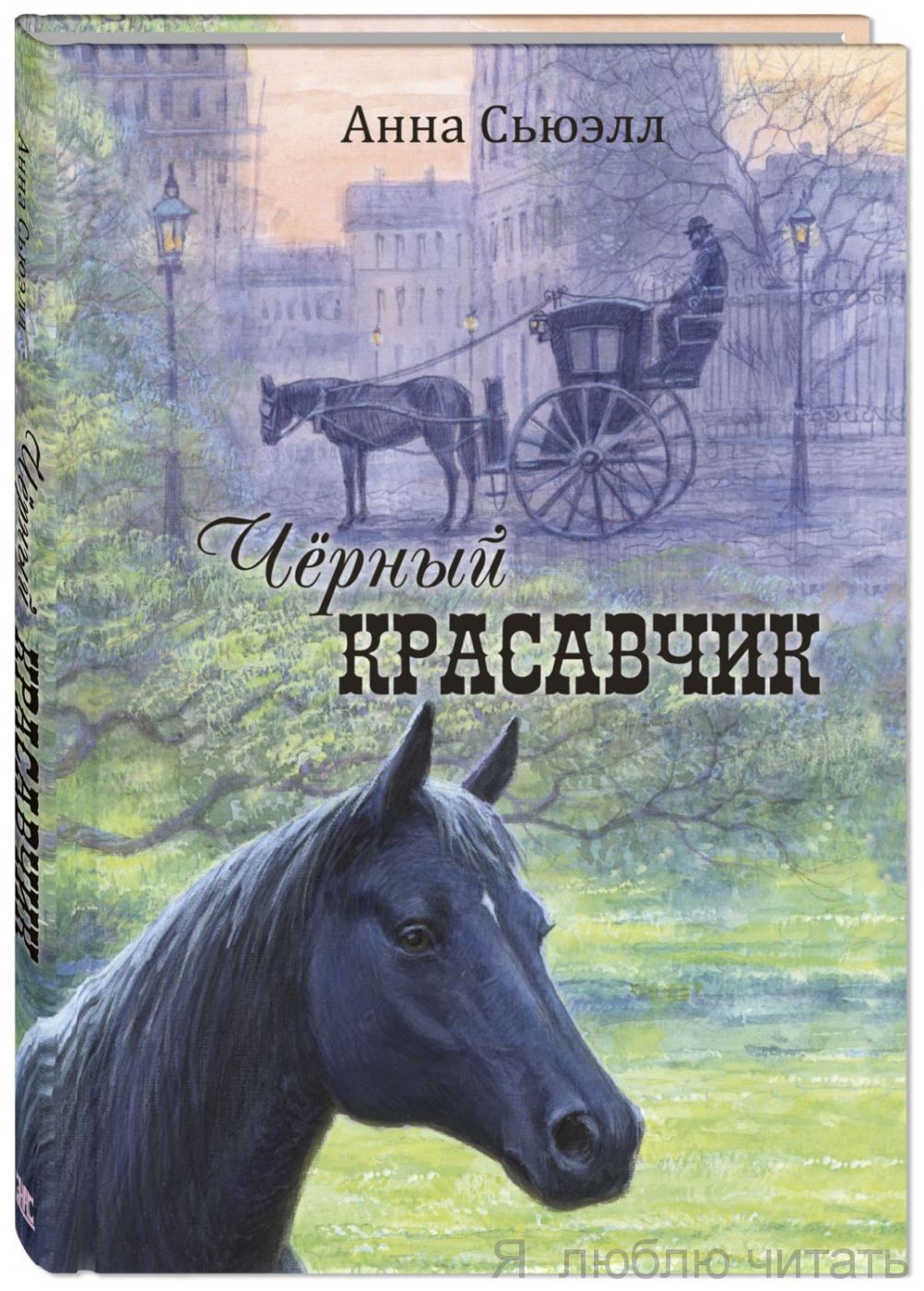 Черный красавчик
