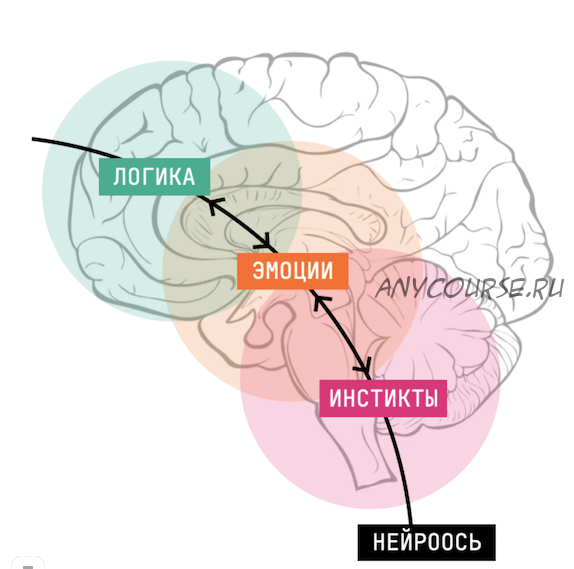 Новая орбита. Обновленный нейрокоучинг для достижения целей. Базовый (Катерина Ленгольд)