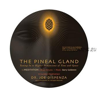 The Pineal Gland: Tuning In to Higher Dimensions of Time and Space (Joe Dispenza)