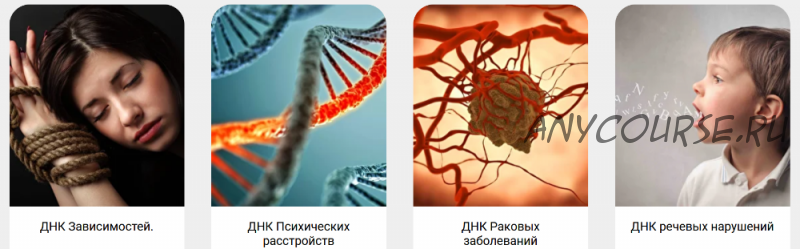 Трансформация ДНК. Весь курс (Ольга Коробейникова)