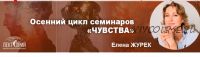 Вина, обида, стыд – чувства второго круга. Последствия их вытеснения и подавления (Елена Журек)