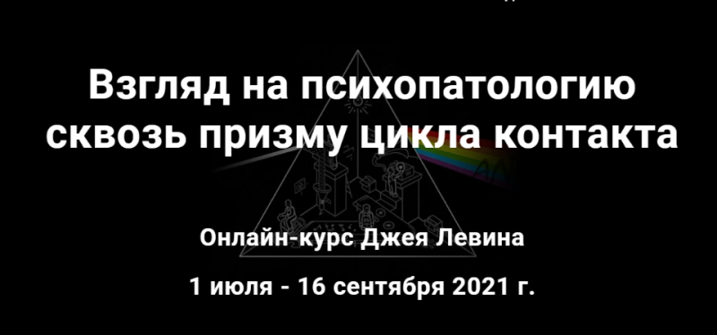 Взгляд на психопатологию сквозь призму цикла контакта. Полный курс (Джей Левин)