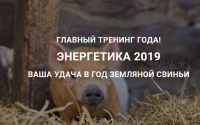 Энергетика 2019. Ваша удача в год земляной свиньи. Платиновая версия (Дмитрий Владимирович)