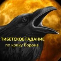 Тибетское гадание по крику ворона (Александр Хосмо)