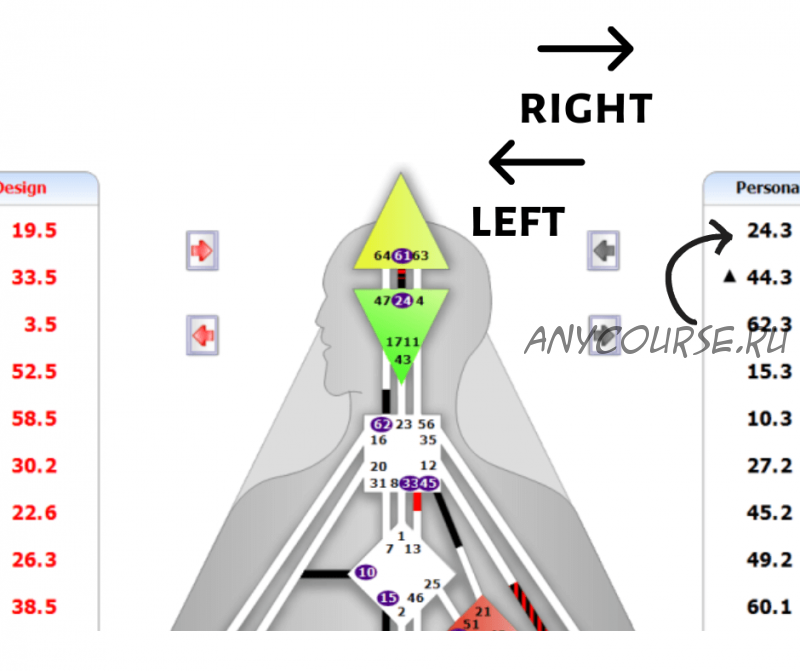 [Дизайн Человека] Правое и левое