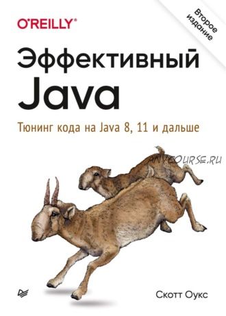 Эффективный Java. Тюнинг кода на Java 8, 11 и дальше (Скотт Оукс)