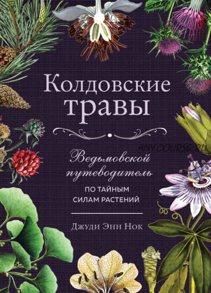 Колдовские травы. Ведьмовской путеводитель по тайным силам растений (Джуди Энн Нок)