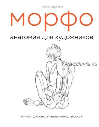 МОРФО. Анатомия для художников (Мишель Лауричелла)