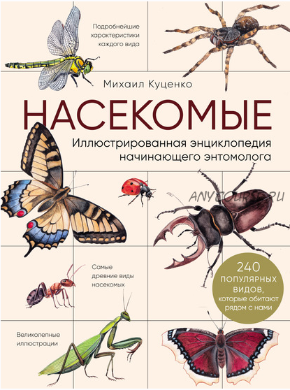 Насекомые. Иллюстрированная энциклопедия начинающего энтомолога (Михаил Куценко)