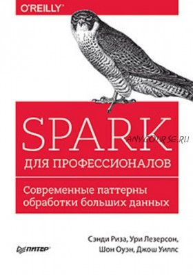 Spark для профессионалов: современные паттерны (Сэнди Риза)