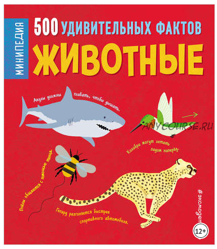 Животные. 500 удивительных фактов (Клэр Хибберт)