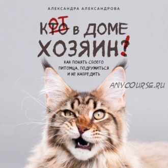 [Аудиокнига] Кот в доме хозяин! Как понять своего питомца (Александра Александрова)