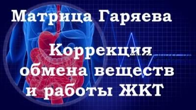 Матрицы Гаряева, «Коррекция общего обмена веществ», программа №4 (Петр Гаряев)