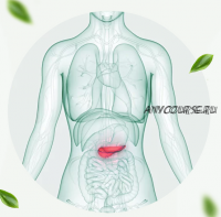 Здоровье поджелудочной железы (Ирина Потянова)