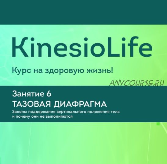 [KinesioLife] Семинар 6. Тазовая диафрагма (Дмитрий Маликов)