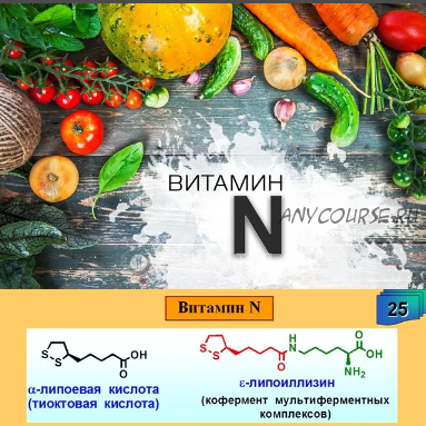 [Путь к здоровью] Липоевая кислота - знакомьтесь, витамин n (Ольга Кондратьева)