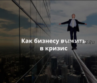 Бизнес в кризис: правила выживания (Вячеслав Юнев)