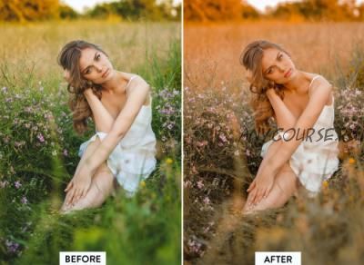 [CreativeMarket] Пресеты Lightroom комплект из 750 пресетов