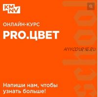 [kamnevschool] PRO.Цвет (Антон Камнев)