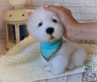 Йорк и вестик (Юлия Оголь)