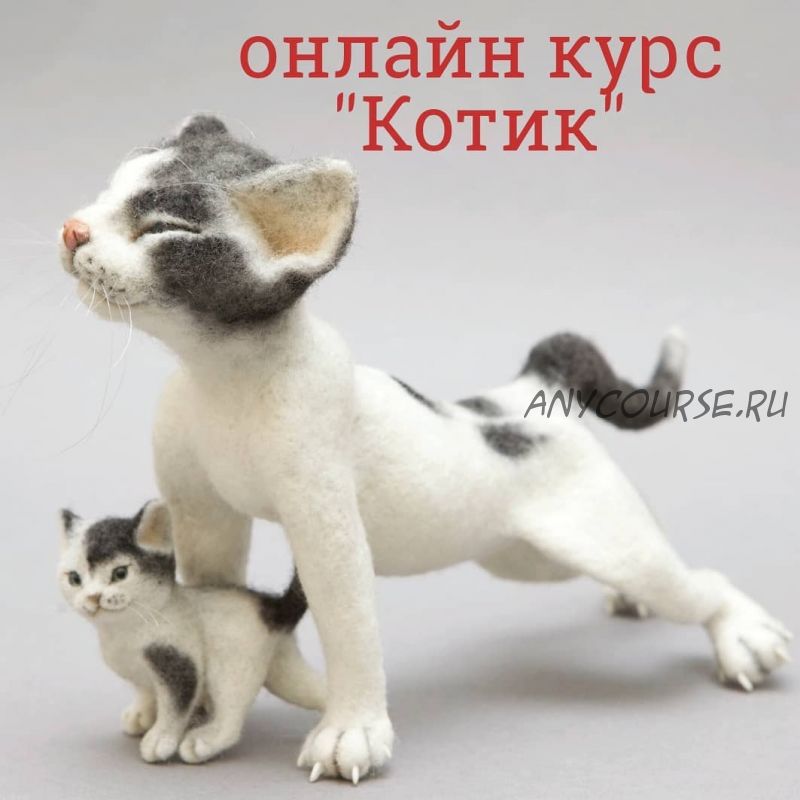 Котик (Наталья Евдокимова)