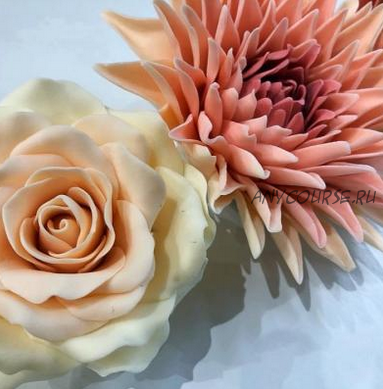 Работа с шоколадом. Цветы из шоколада (Елена Шрамко)