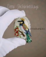 Райская птичка (Елена Щербинская)