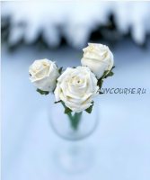 Розы из безе (elenapo11)