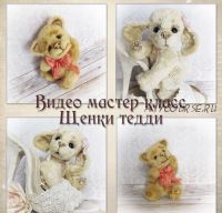 Щенки Тедди (Ирина Косова)