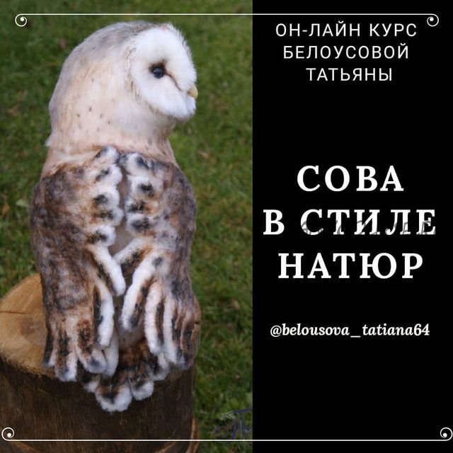 Сова в стиле натюр (Татьяна Белоусова)