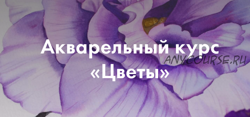 [GiArtS] Онлайн курс по акварели «Цветы». Тариф Ромашка (Елизавета Краснова,Ирина Глазунова)