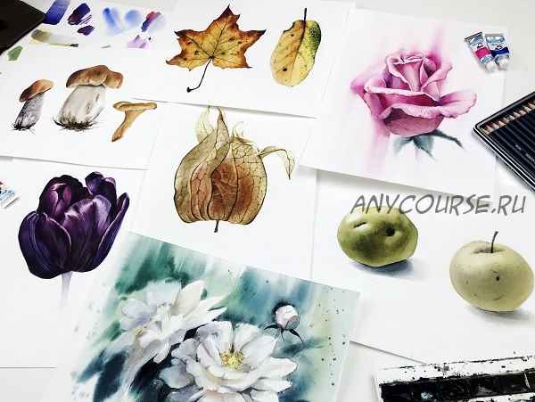 [Художник Online] Ботаника акварелью (Дарья Куцаева)