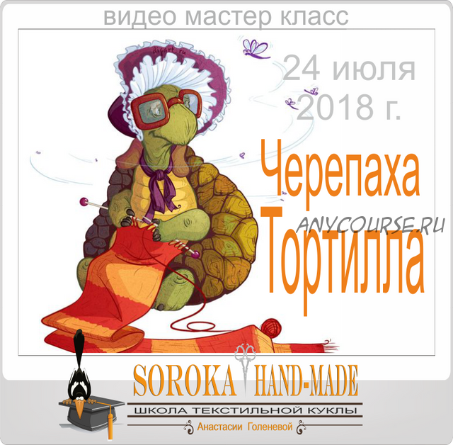 [Soroka HM] Черепаха Тортилла (Анастасия Голенева)