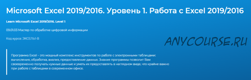 [Специалист] Microsoft Excel 2019/2016. Уровень 1. Работа с Excel 2019/2016 (Павел Пронкин)