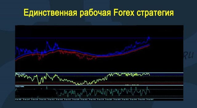 Единственная рабочая Forex стратегия на данном сервисе!