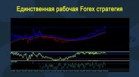 Единственная рабочая Forex стратегия на данном сервисе!