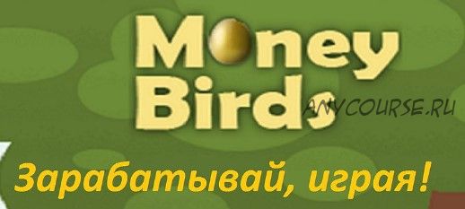 Полное руководство системы привлечения рефералов в игру Money Birds (Роберт Хамидуллин)