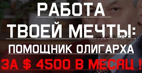 Помощник олигарха. От 4500 долларов в месяц работая удалённо (Михаил Виннер)